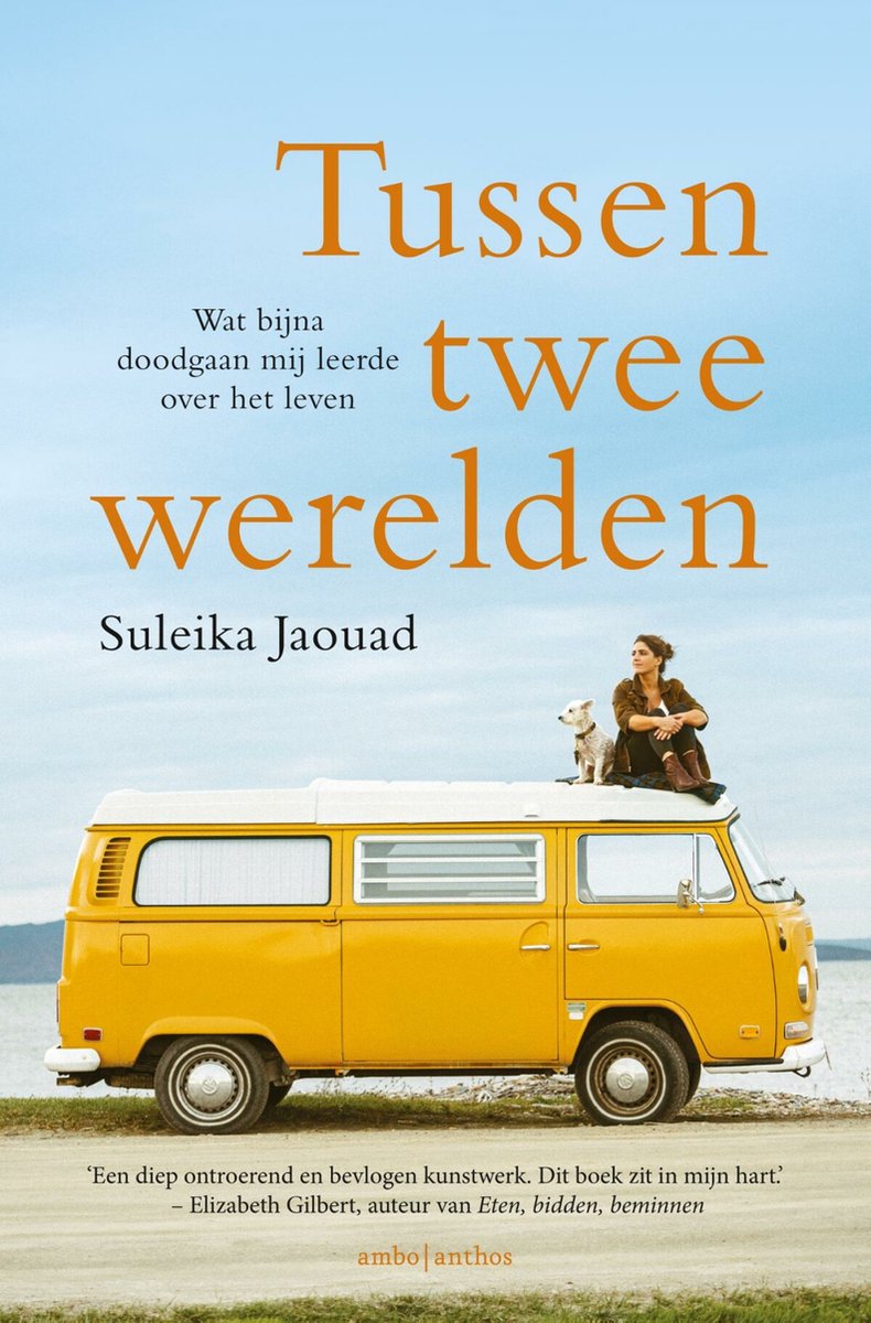 zomerboeken